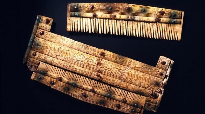 Comb with etui. Credit Landesmuseum Württemberg, P. Frankenstein / H. Zwietasch