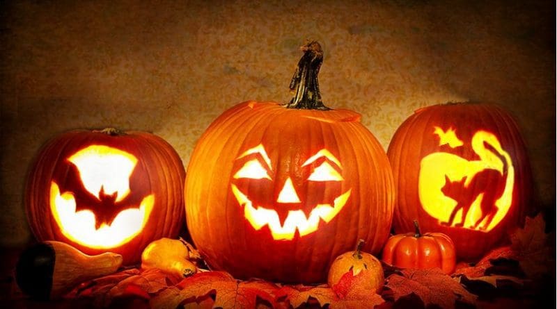 pumpkin halloween