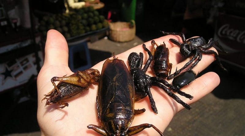Insects in market in Cambodia.
