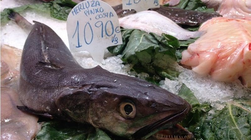 Fish market in Spain.