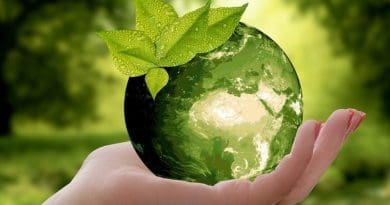 sustainable sustainability nature climate