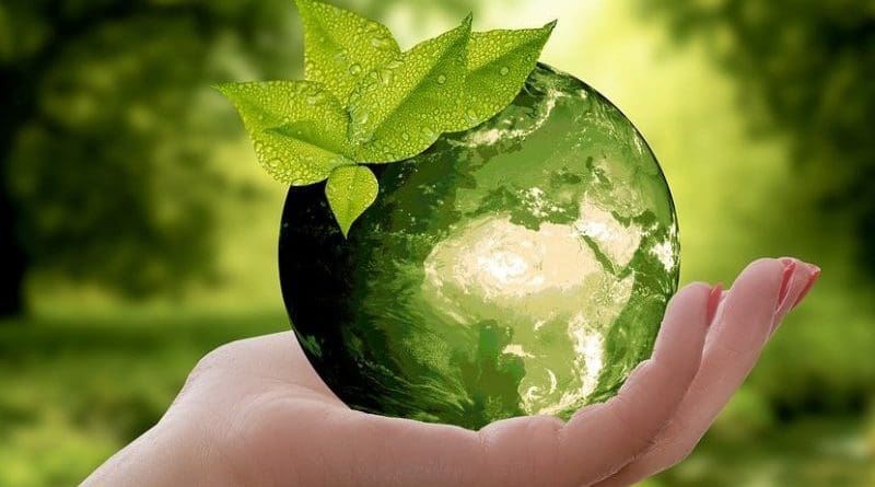 sustainable sustainability nature climate