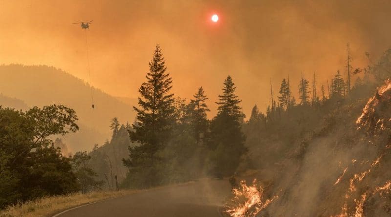 Battling fire during the Taylor Creek and Klondike Fires in the Rogue-Siskiyou National Forest, Oregon, 2018. Credit Kari Greer