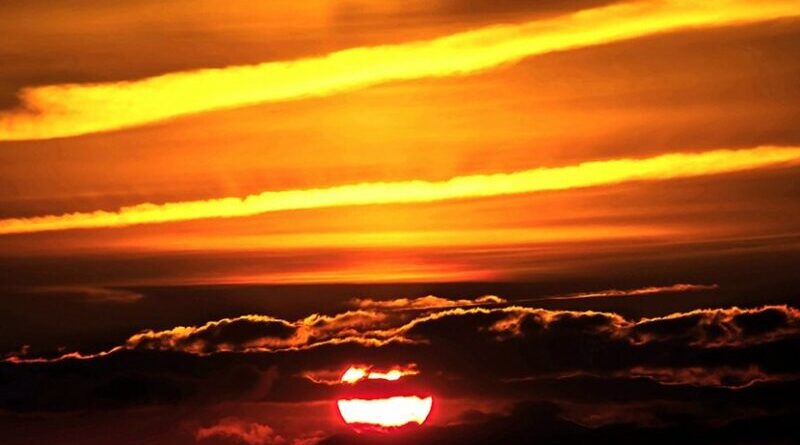 contrails aviation airplane transportation sunset