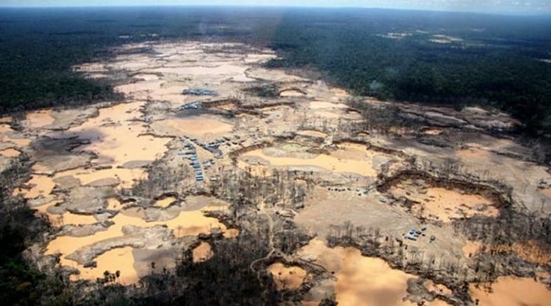 Deforestation in the Amazon rainforest. Credit Photo courtesy Wake Forest University