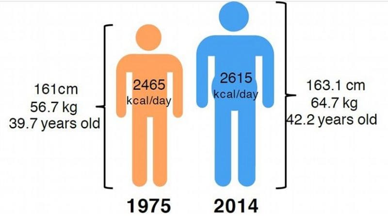 The average global adult is bigger, older and needs more food than before. Illustration: NTNU
