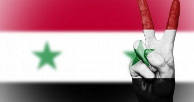 peace syria flag