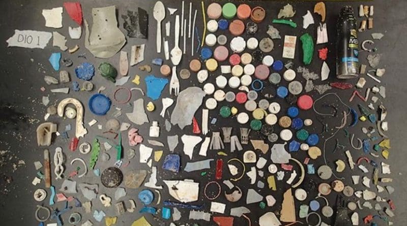Marine debris collected during the two year study. Credit Caitlin Wessel