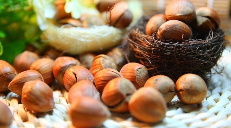 hazelnut