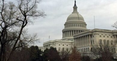 The U.S. Capitol Hill building in Washington, DC. Photo Credit: VOA/ Diaa Bekheet)