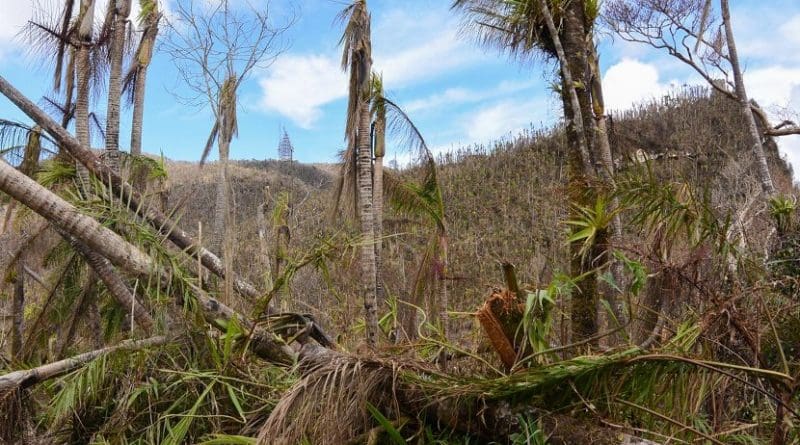 Puerto Rico's forests and streams were dramatically changed by Hurricane Maria's hit on the island. Credit USFS