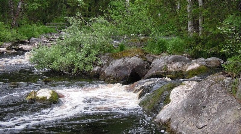 A small stream in Finland.