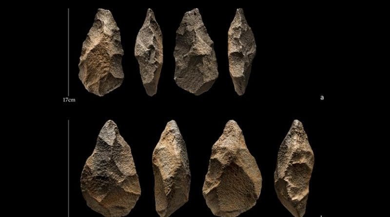 These are handaxes from the site of Saffaqah, Saudi Arabia. Credit Palaeodeserts (Ian R. Cartwright)