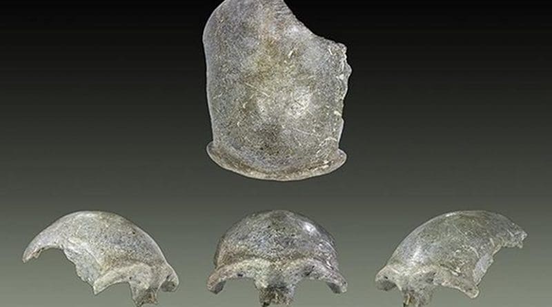 This is a Salkhit skullcap © Maud Dahlem, Muséum de Toulouse (France).