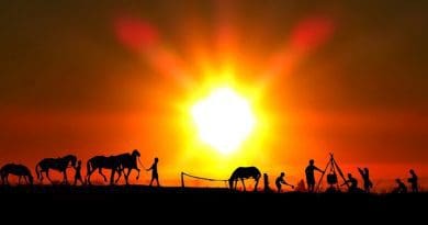 farm farmer cowboy horse sunset