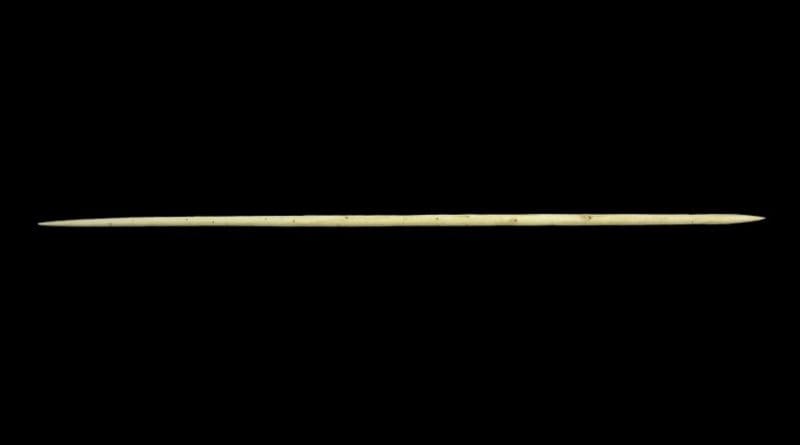This is a replica spear produced by Owen O'Donnell, an alumnus of UCL Institute of Archaeology. Credit Annemieke Milks (UCL)
