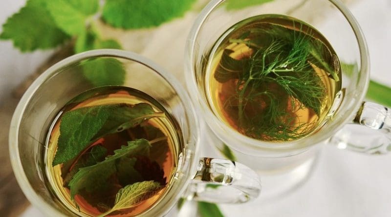 herb tea medicinal plant