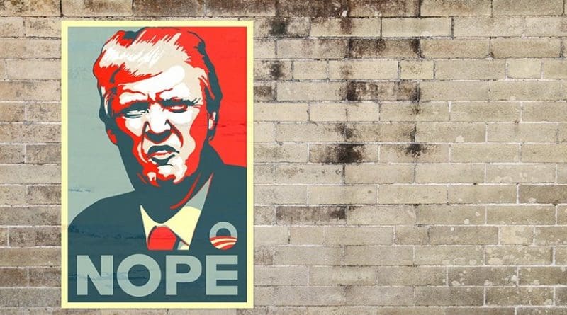 donald trump wall