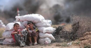 boys children gaza palestine