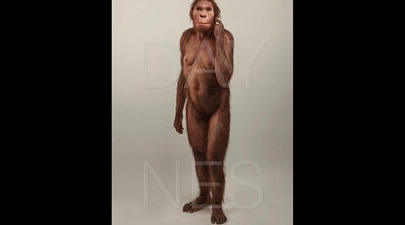 Life reconstruction of Australopithecus sediba commissioned by the University of Michigan Museum of Natural History (https://record.umich.edu/articles/museum-acquires-lifelike-reconstruction-human-relative). Credit © Sculpture Elisabeth Daynes (http://www.daynes.com/) / Photo S. Entressangle.