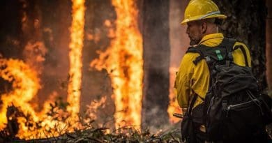 wildfire forest fire firefighter