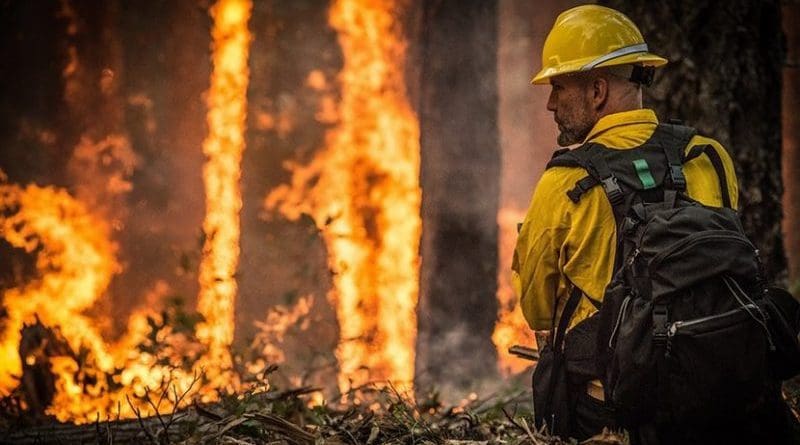 wildfire forest fire firefighter