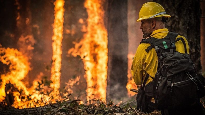 wildfire forest fire firefighter