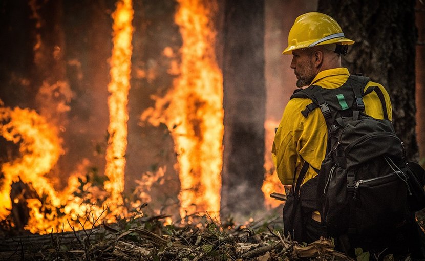 wildfire forest fire firefighter