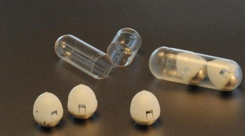 An MIT-led research team has developed a drug capsule that could be used to deliver oral doses of insulin. Credit Felice Frankel