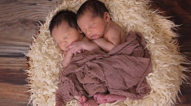 twins baby boy babies