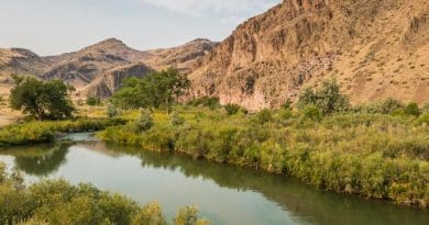 The Owyhee River Canyon in Oregon shows the difference between shadier riverside habitat and the hotter, dryer upland areas. Credit Bureau of Land Management