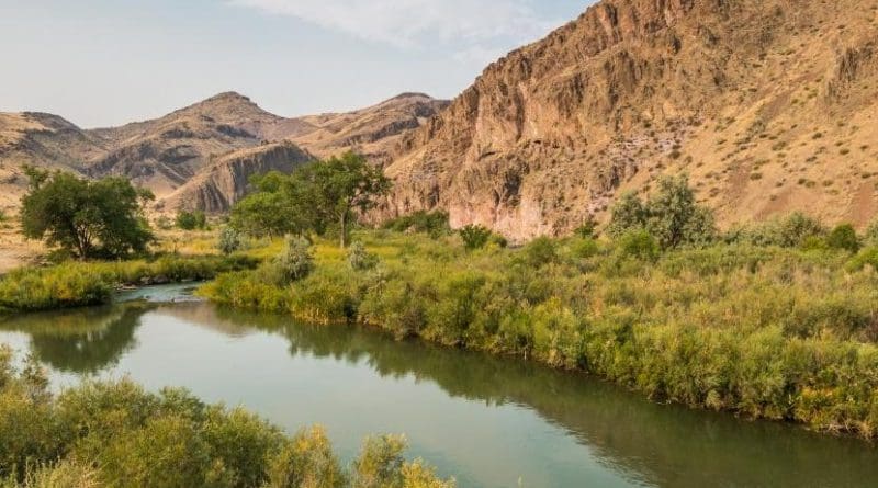 The Owyhee River Canyon in Oregon shows the difference between shadier riverside habitat and the hotter, dryer upland areas. Credit Bureau of Land Management