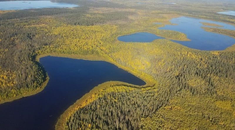 Lakes in the Yukon Flats region of northeast Alaska, seen with fall color. Credit David Butman/University of Washington