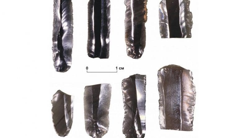 Products from obsidian found on Zhokhov site Credit Vladimir V. Pitulko et al