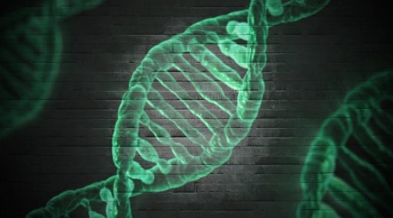 gene dna