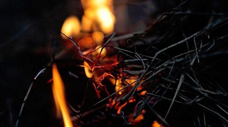 bonfire fire fuel twigs