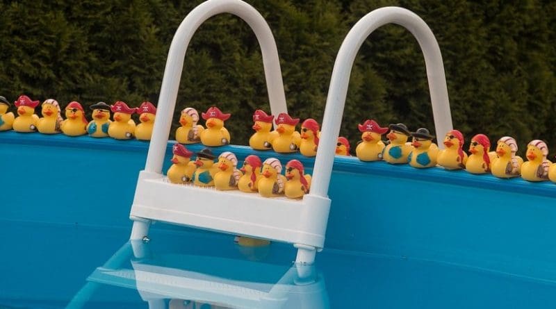 rubber duck pool swimming