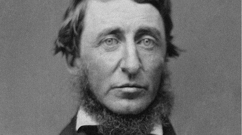 Henry David Thoreau. Photo Credit: B. D. Maxham, Wikimedia Commons.