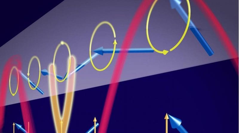 An ultrashort spin wave (red) running through a nickel iron layer. Towards the center of the layer, the magnetic direction (blue arrows) swings only up and down in a sort of knot, while the motion in the other parts remains circular -- with opposing sense of magnetic rotation. Credit HZDR / Juniks