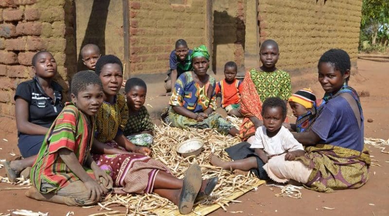 New breeding technologies can help make agriculture in developing countries more productive and protect against climate change. This photo shows smallholder farmers in Malawi peeling peas in front of their homestead. Credit S Koppmair