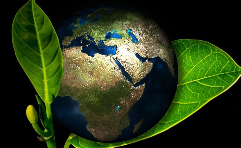 earth globe greenwash eco-friendly