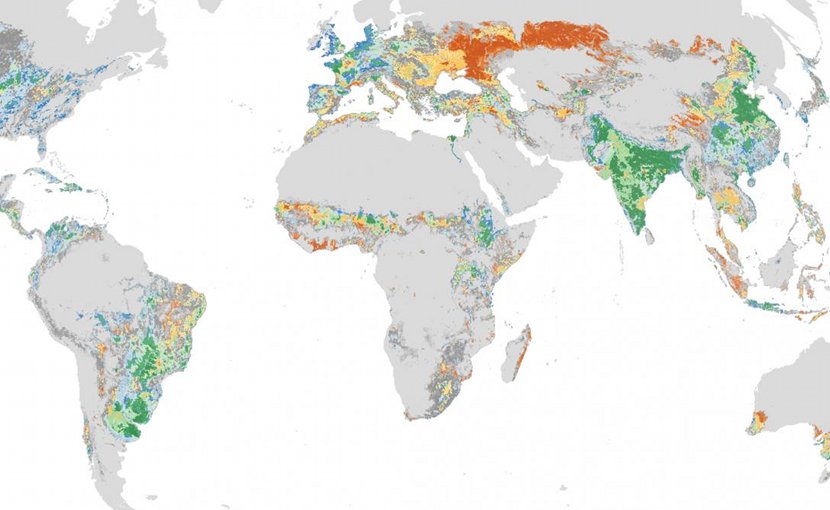 Global distribution of manure-rich cultivated areas. Green shades represent manure-rich areas with the most potential for recycling phosphorus. Manure-rich cultivated grid cells were most abundant in India, China, Southeast Asia, Europe and Brazil. Smaller patches are seen in central and east Africa, central United States and Central America. Credit Stevens Institute of Technology