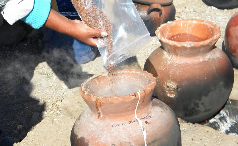 A team worked with Peruvian brewers to recreate the ancient chicha recipe used at Cerro Baul. Credit: Donna Nash