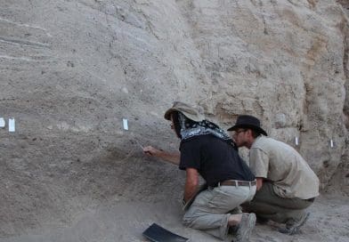 Study authors Jay Quade (left) and Jordan Abell (right) looking for optimal samples at the site of an ancient Turkish settlement where salts left behind by animal and human urine give clues about the development of livestock herding. Credit Güneş Duru