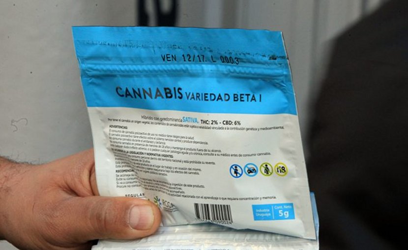 A view of a package of recreational marijuana in Montevideo, Uruguay, 19 July 2017. Uruguay is the first nation in the world to legalize the production and sale of marijuana for recreational use. [Federico Anfitti/EPA/EFE via EurActiv]