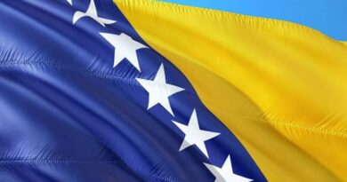 bosnia flag