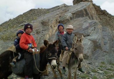 Children from one of the Tajikistan communities included in the study. Credit Elena Balanovska