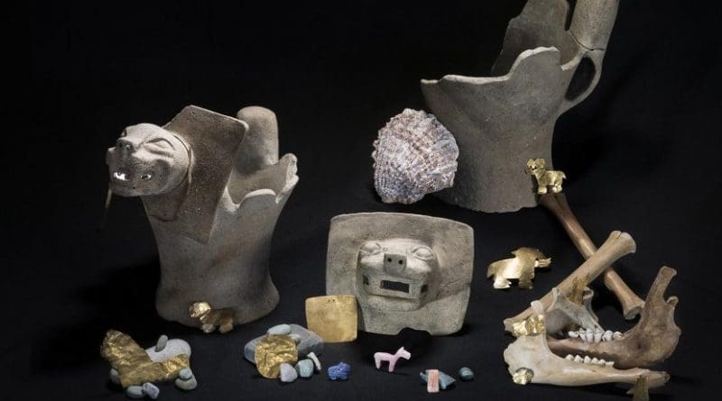 The team found ritual offerings consisting of ceramic feline incense burners; sacrificed juvenile llamas; and gold, shell and stone ornaments Credit Teddy Seguin