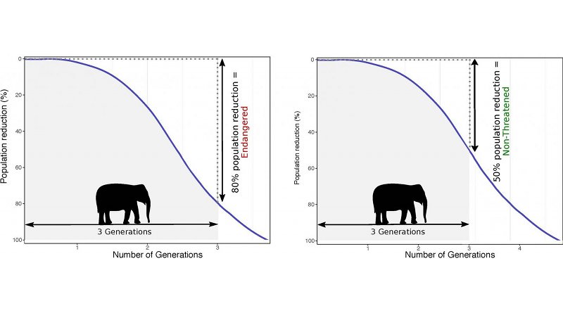 Underestimation of generation time leads to an underestimation of extinction risk when scientists assess populations of threatened species. Credit Johanna Staerk et al. (2019)