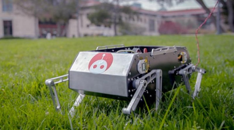 Stanford students have developed Stanford Doggo, a relatively low-cost four-legged robot that can trot, jump and flip. Credit Kurt Hickman/Stanford News Service